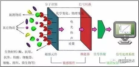 科学网—【核殇】