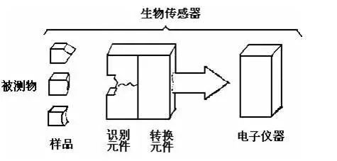 压电绝缘体（POI）2025年全球市场规
